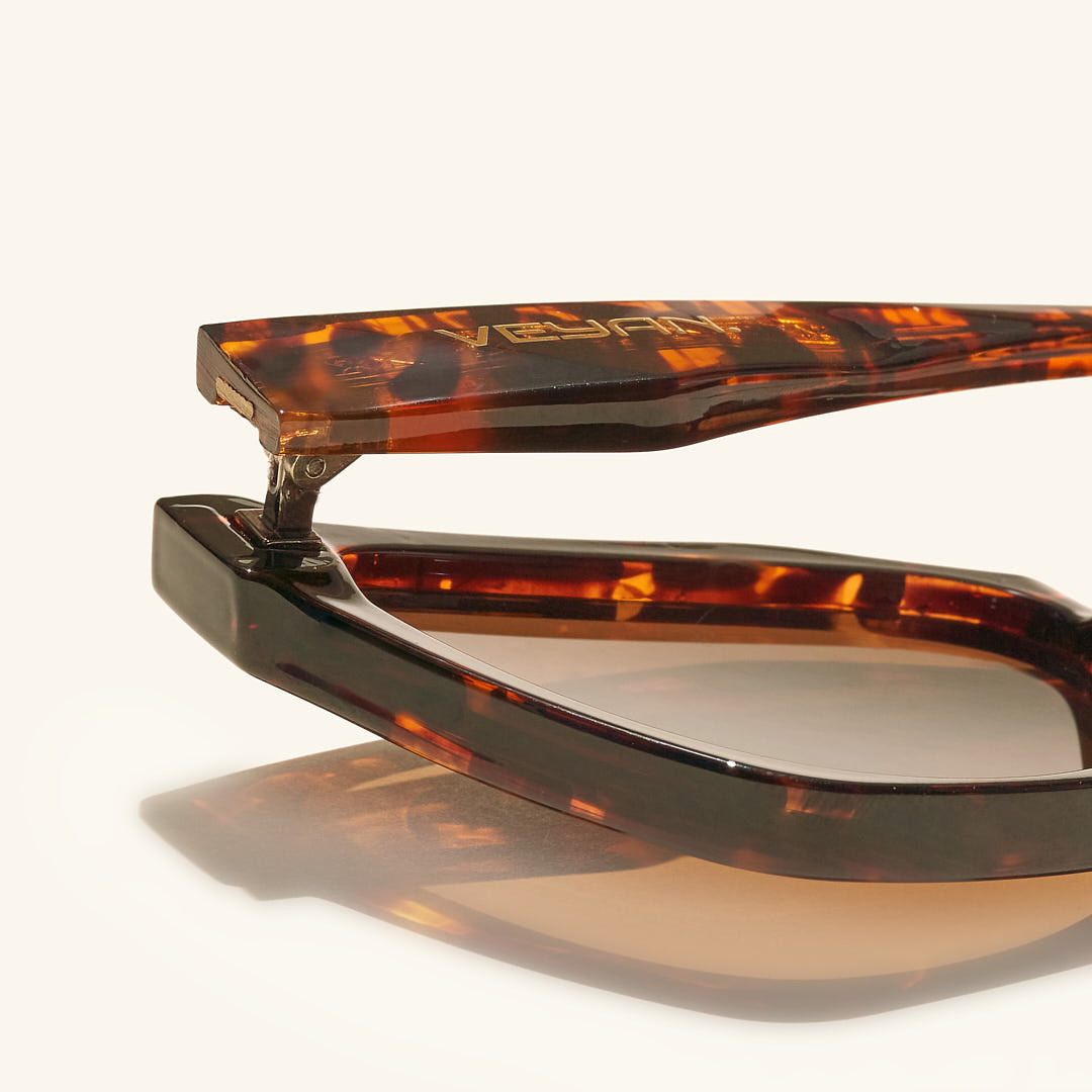 gafas de sol