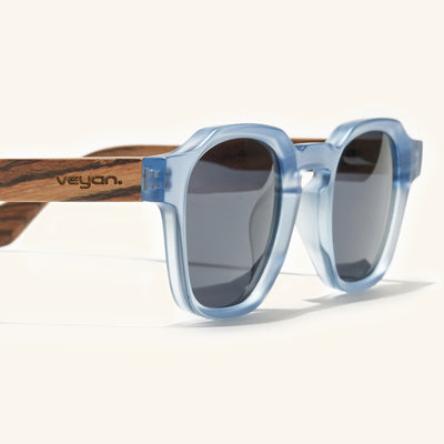 lentes de sol