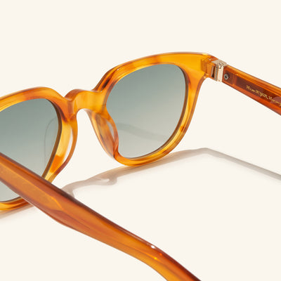 lentes de sol