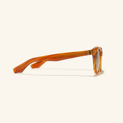 lentes de sol