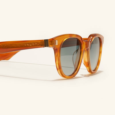lentes de sol