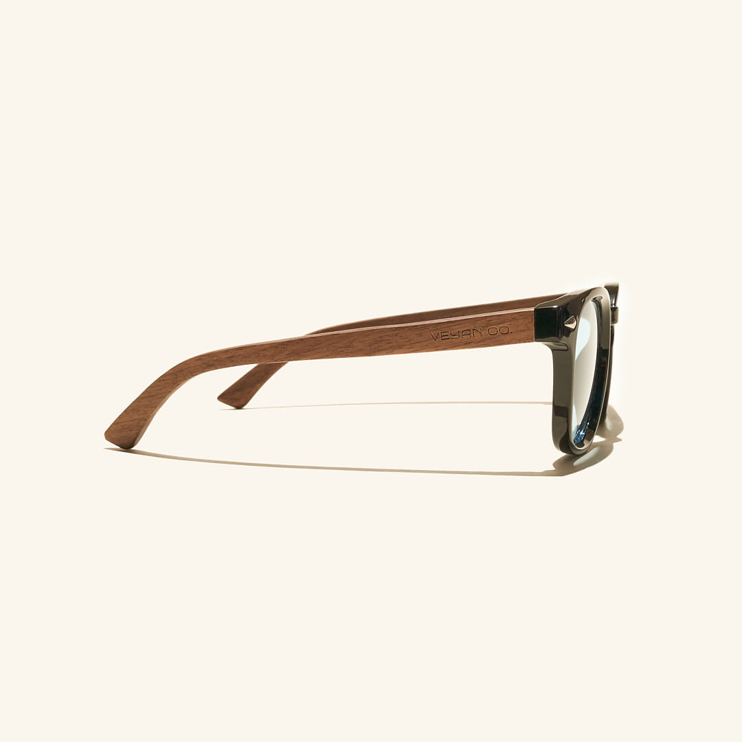 lentes de sol