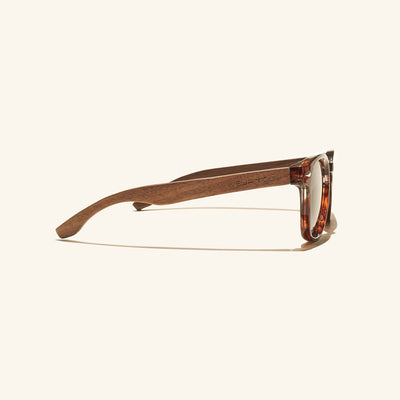 gafas de sol