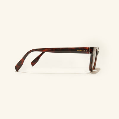 gafas de sol