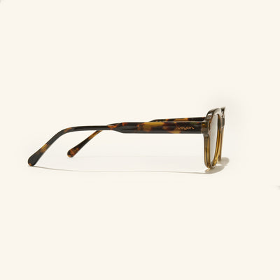 gafas de sol
