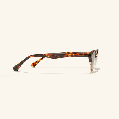 gafas de sol