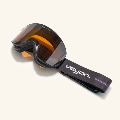 gafas de sky goggle