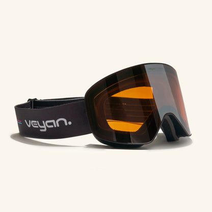 gafas de sky goggle