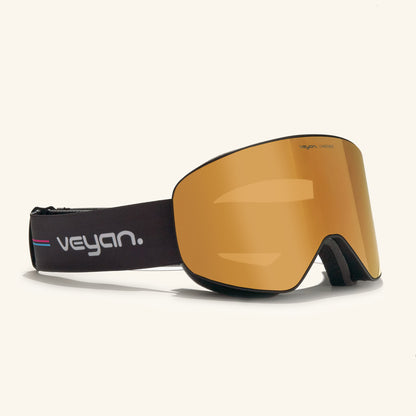 gafas de sky goggle