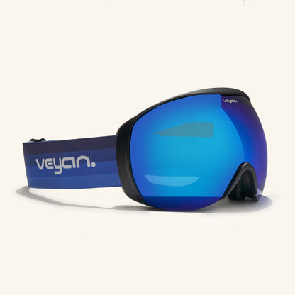 gafas de sky goggle