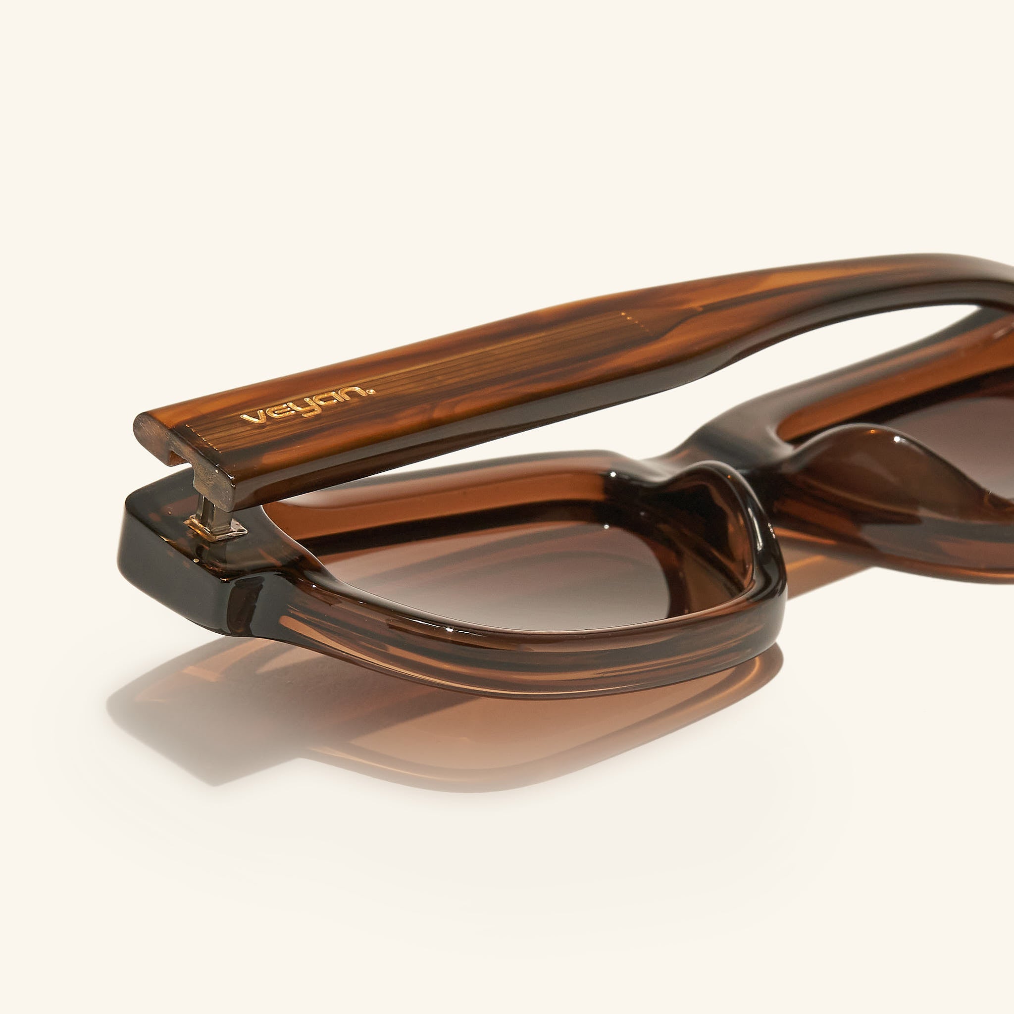 lente de sol#es:color_marron,en:color_brown,it:colore_marrone